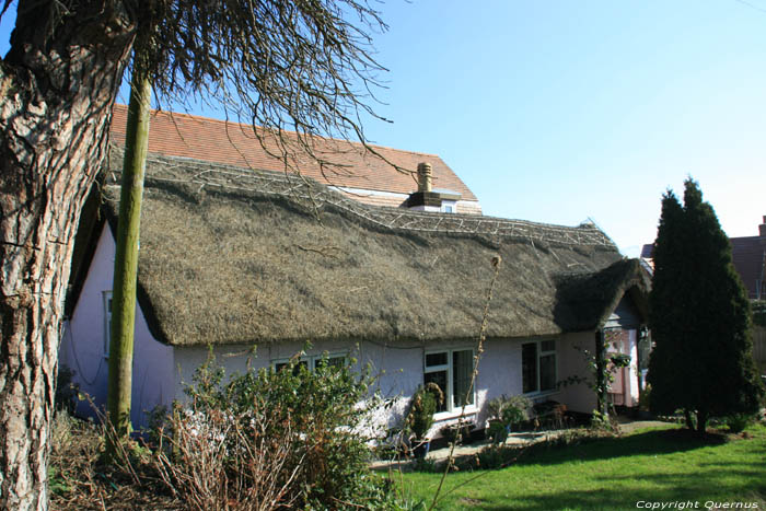 Maison Ancien Moulin Ramsey  TENDRING / Angleterre 