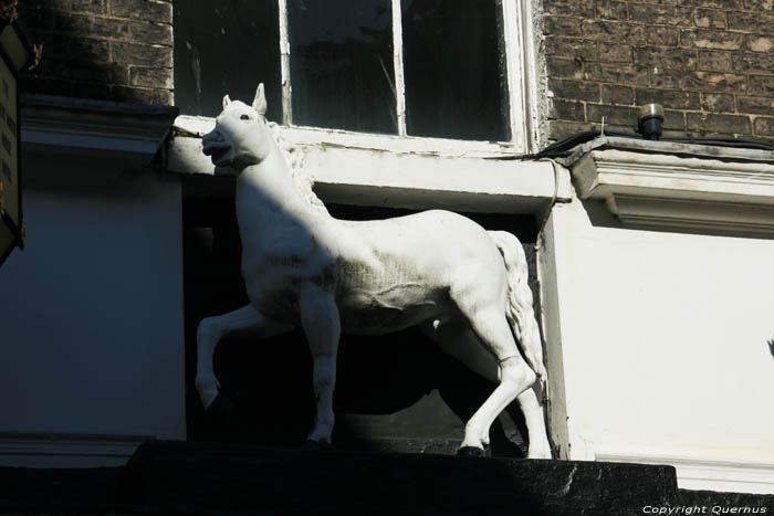 Het Fantisch Witte Paard Hotel Ipswich / Engeland 