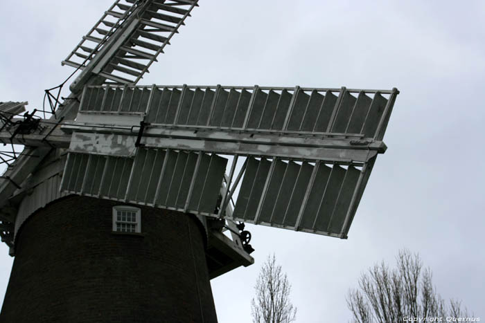 Buttrum's Mill or Trott's Mill Woolbridge / United Kingdom 