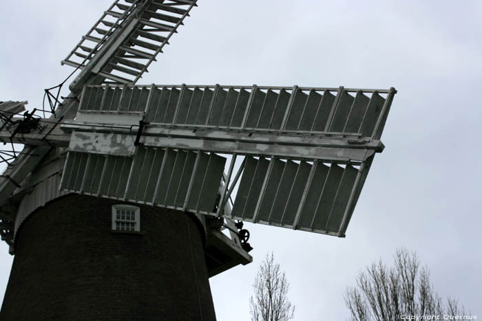 Buttrum's Molen of Trott's Molen Woolbridge / Engeland 