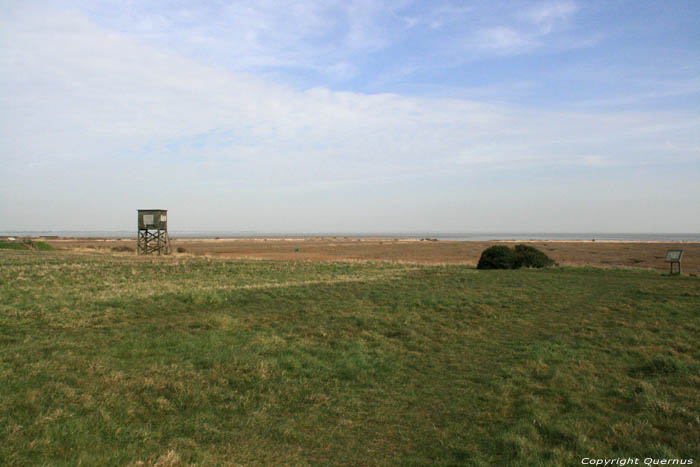 Bradwell-on-Sea Cockle Spit Parc Naturelle Bradwell-on-Sea / Angleterre 