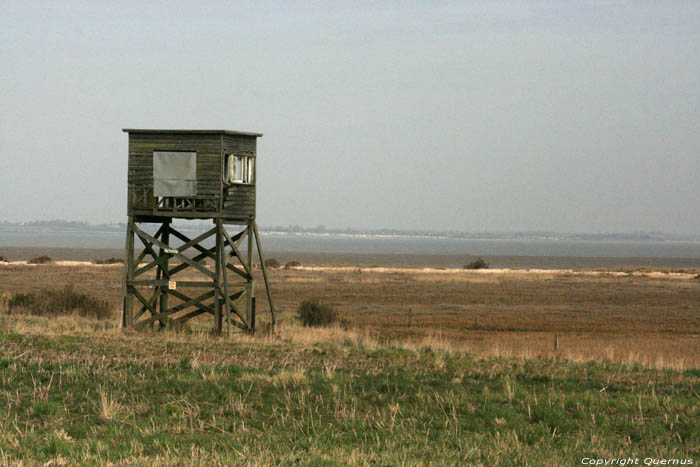 Bradwell-on-Sea Cockle Spit Parc Naturelle Bradwell-on-Sea / Angleterre 