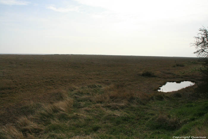 Bradwell-on-Sea Cockle Spit Parc Naturelle Bradwell-on-Sea / Angleterre 