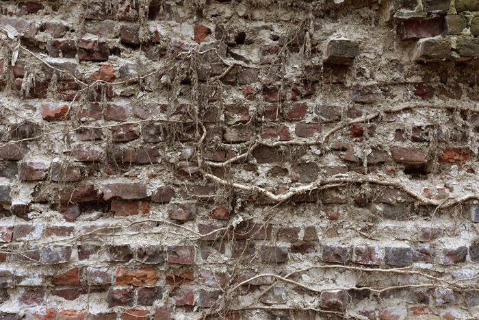 Wall of Graveyard EVERE / BELGIUM 