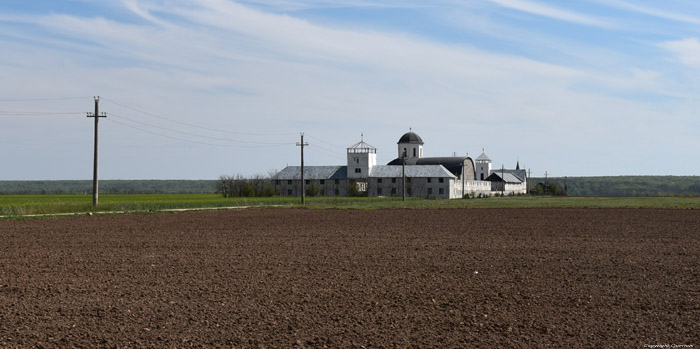 Delta Neajlovului Abbey (Manasteria) Comana / Romania 