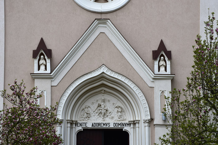 Basilique de Calvre Satu Mare / Roumanie 