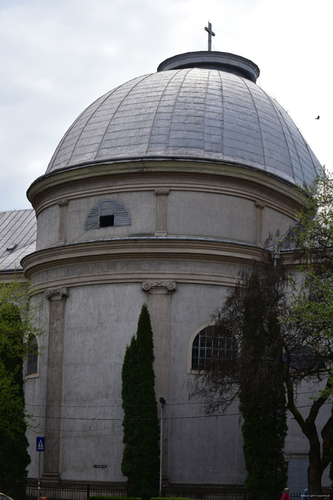 Roomskatholieke Onze-Heer-Hemelvaartskathedraal Satu Mare / Roemeni 