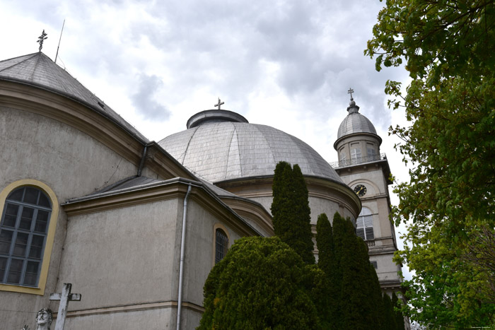 Roomskatholieke Onze-Heer-Hemelvaartskathedraal Satu Mare / Roemeni 