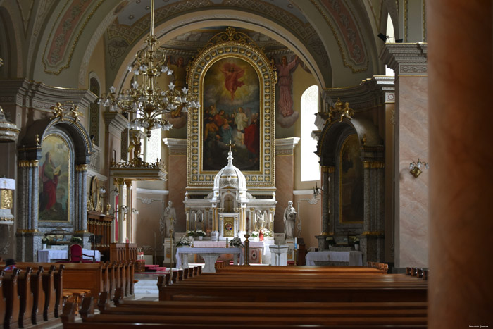 Roomskatholieke Onze-Heer-Hemelvaartskathedraal Satu Mare / Roemeni 