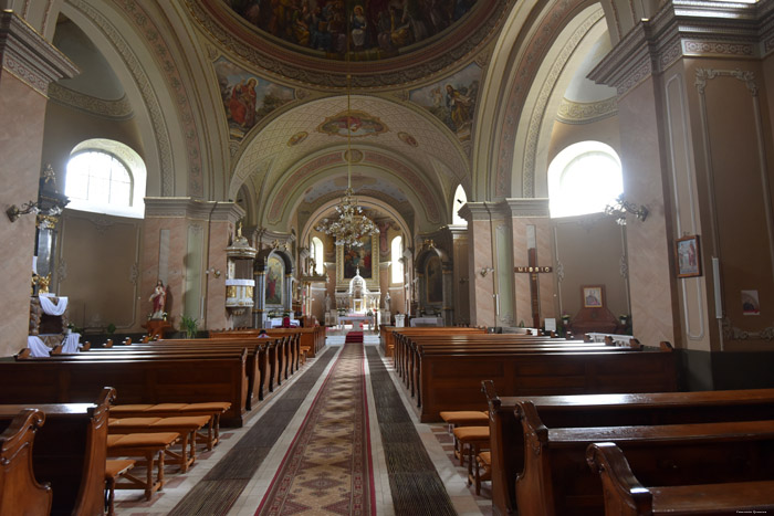 Roman Catholic Ascension Cathedral  Satu Mare / Romania 