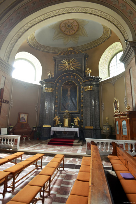 Roman Catholic Ascension Cathedral  Satu Mare / Romania 