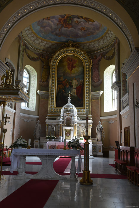 Roman Catholic Ascension Cathedral  Satu Mare / Romania 