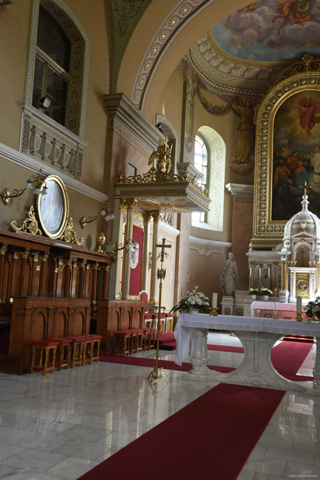 Roman Catholic Ascension Cathedral  Satu Mare / Romania 