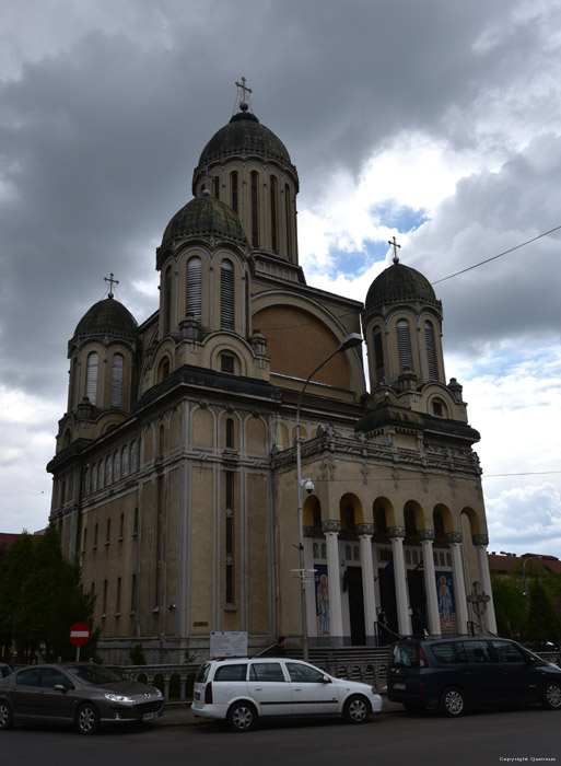 Our LadyAssumption Cathedral - Assumption of the Virgin Cathedral Satu Mare / Romania 