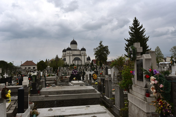 Graveyard Satu Mare / Romania 