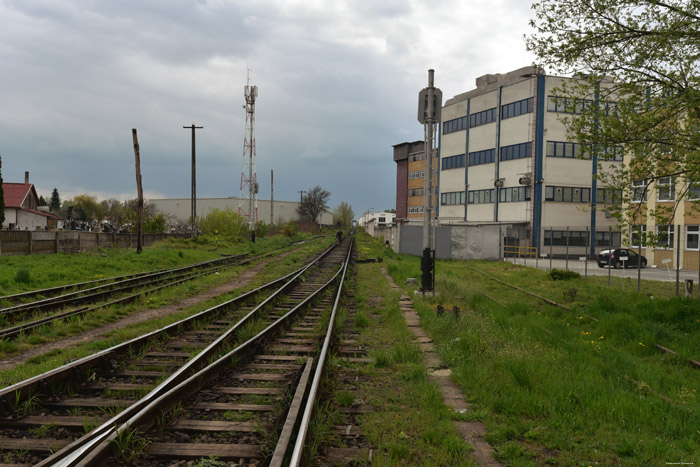 Spoorweg en station Satu Mare / Roemeni 