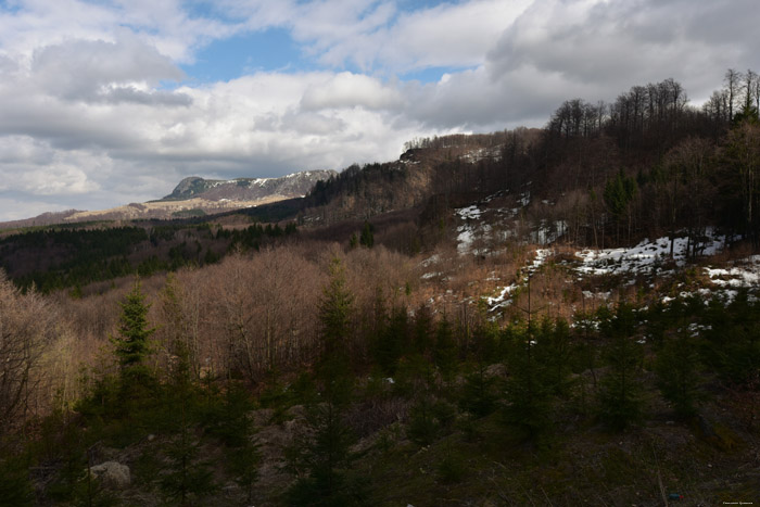 Berglandschap in Karpaten Baia Sprie / Roemeni 