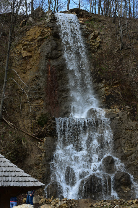 Pastravaria (Forel) 'Gelukkige Vis' Waterval Mare / Roemeni 