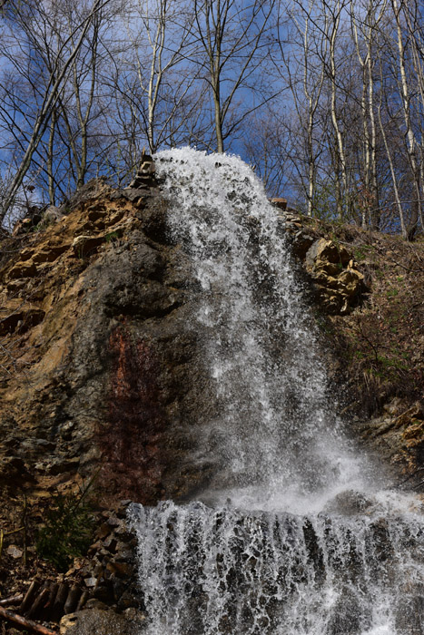 Pastravaria (Forel) 'Gelukkige Vis' Waterval Mare / Roemeni 