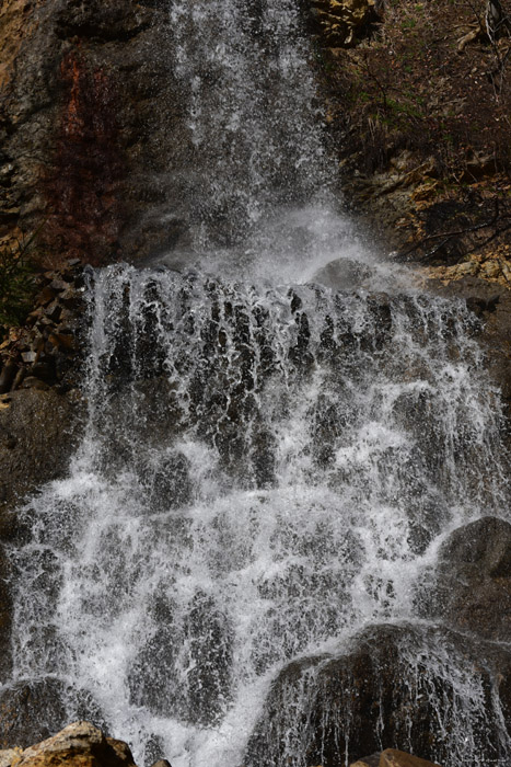 Cascade Pastravaria (Truite) 'Poisson Heureux' Mare / Roumanie 