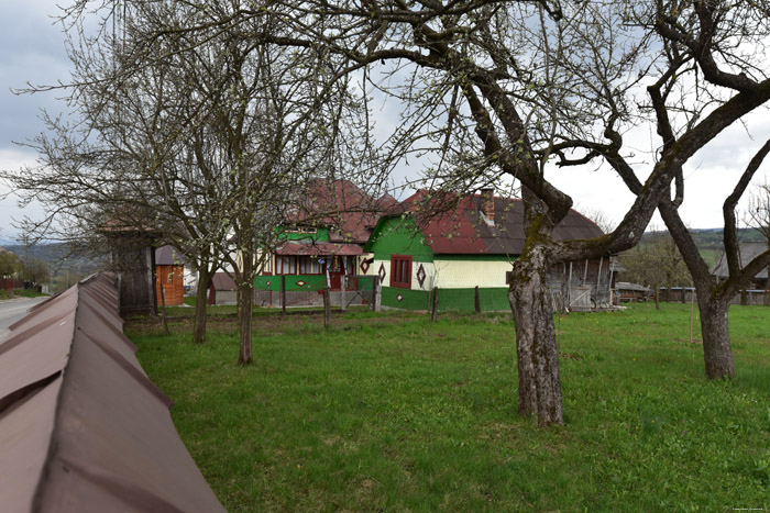 Kleurrijke boerderij Mare / Roemeni 