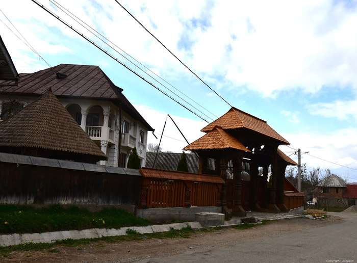 Denisa Pension House with Impressing Gate Valeni / Romania 