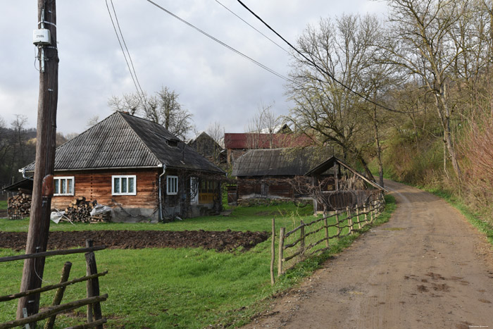 Farm Barsana / Romania 