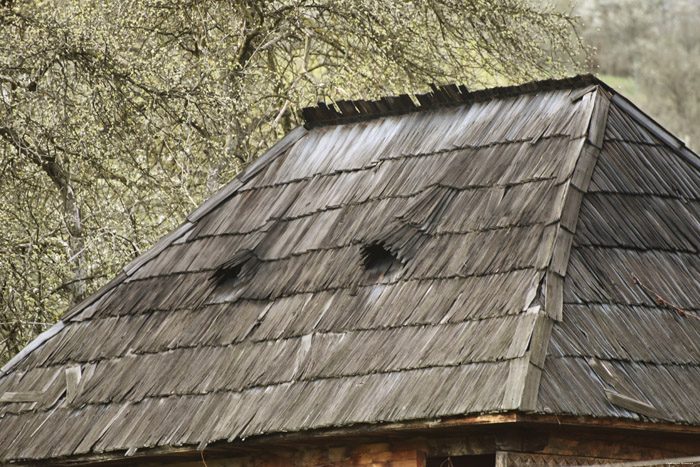 Huis met planken dak Barsana / Roemeni 