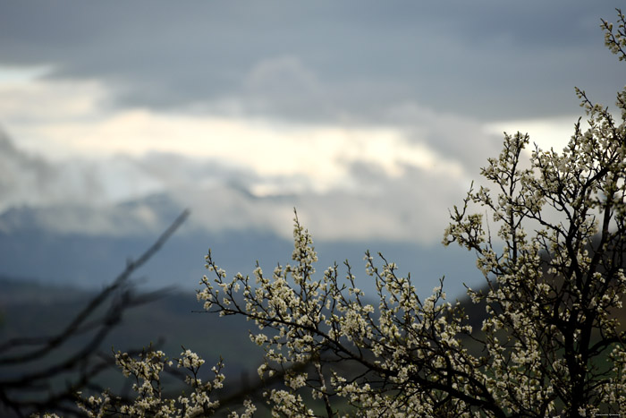 Vue Barsana / Roumanie 