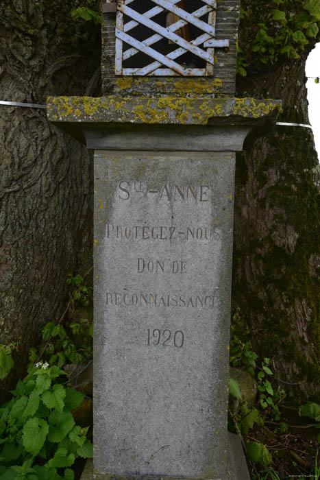 Sint-Anne Wilg en Sint-Annakapel VILLERS-LE-GAMBON / PHILIPPEVILLE foto