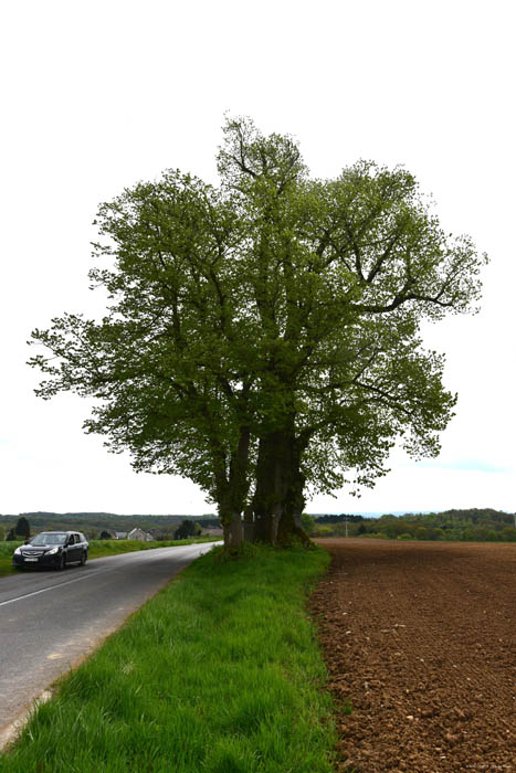 Sint-Anne Wilg en Sint-Annakapel VILLERS-LE-GAMBON in PHILIPPEVILLE / BELGI 