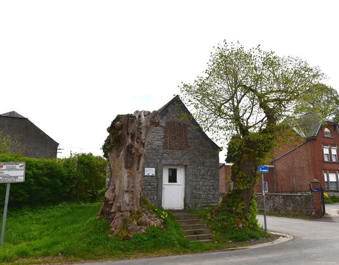 Sint-Rochuskapel VILLERS-LE-GAMBON / PHILIPPEVILLE foto 