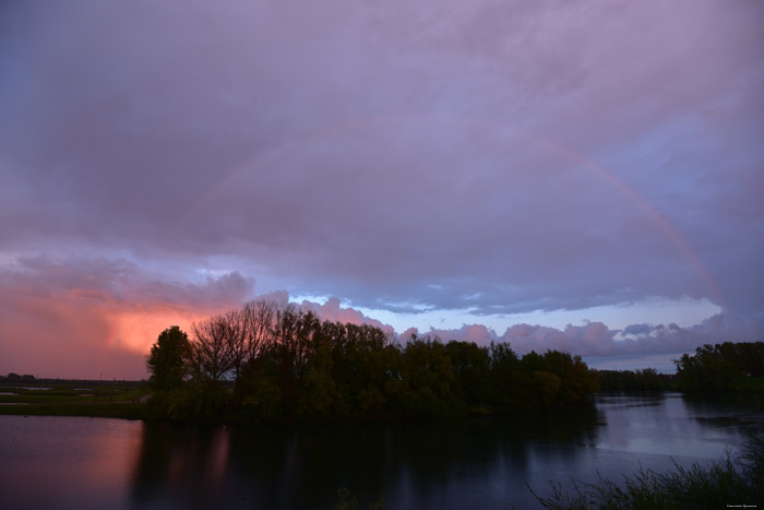 Sun Down on Negenoord (Old Maas Arm) DILSEN-STOKKEM / DILSEN picture 