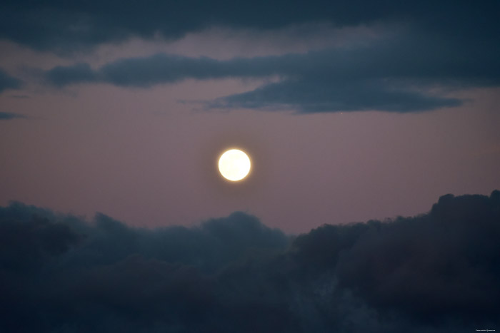 Coucher du Soleil sur Negenoord (Ancien Bras de la Meuse) DILSEN-STOKKEM / DILSEN photo 