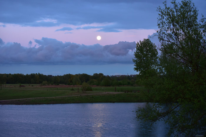 Sun Down on Negenoord (Old Maas Arm) DILSEN-STOKKEM / DILSEN picture 