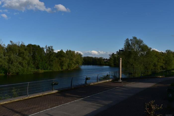 Zonderondergang Negenoord (Oude Maasarm) DILSEN-STOKKEM / DILSEN foto 