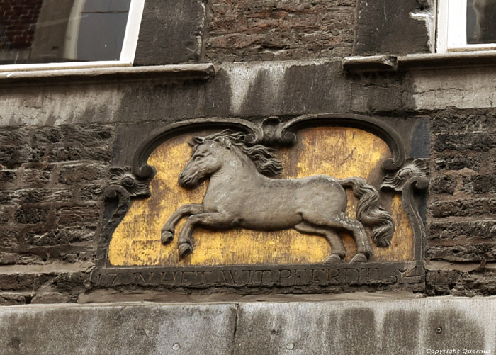 Dans le Cheval Maastricht / Pays Bas 