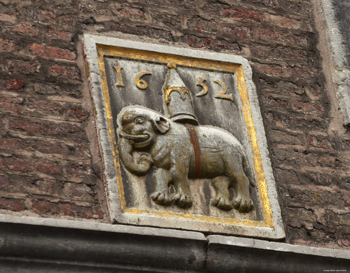 In de Circusolifant Maastricht / Nederland 