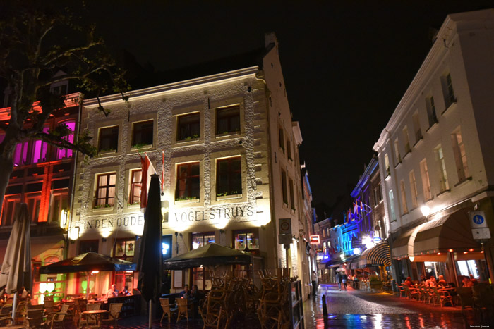 In Den Ouden Vogelstruys Maastricht / Nederland 