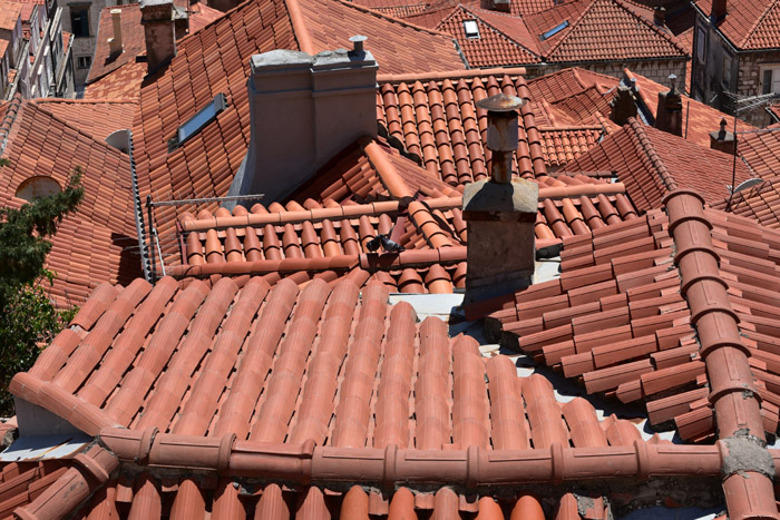 Pigeon Couple Dubrovnik in Dubrovnic / CROATIA 