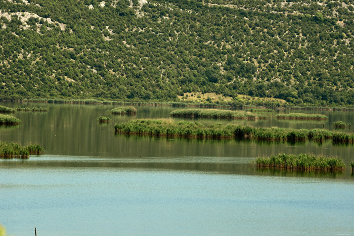 Lac Bajovci  Capljina / Bosnie-Herzegovina 