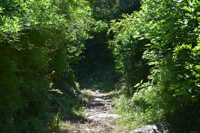 Trail Ston / CROATIA 