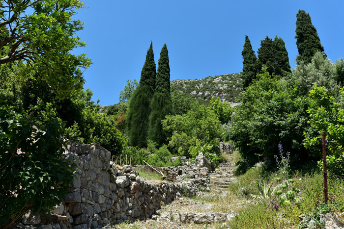 Nateure and Ruins in town Ston / CROATIA 