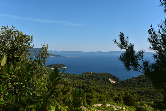 View Pijavicino in DubrovnikNeretva / CROATIA 