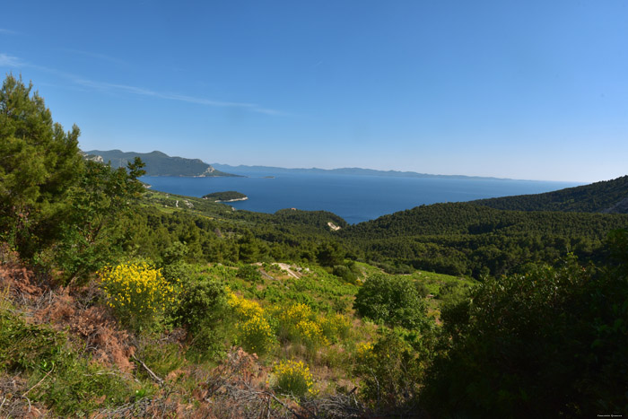 View Pijavicino in DubrovnikNeretva / CROATIA 