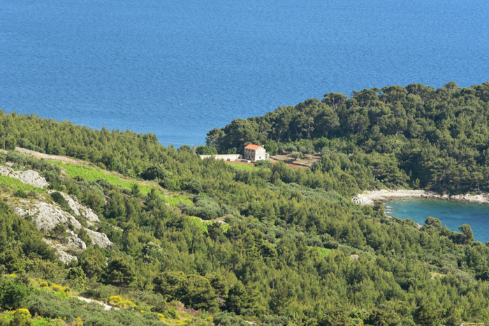 View on Adriatic Sea Pijavicino in DubrovnikNeretva / CROATIA 
