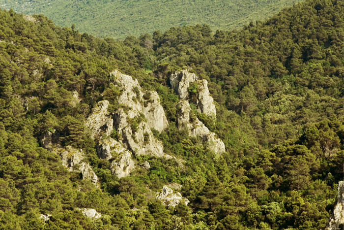 Rochers Zuljana  Ston / CROATIE 