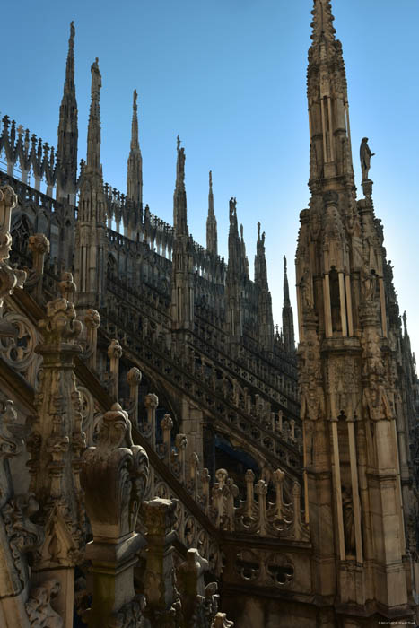 Onze-Lieve-Vrouwe-Geboortecathedraal (Dome) Milaan / Italië 