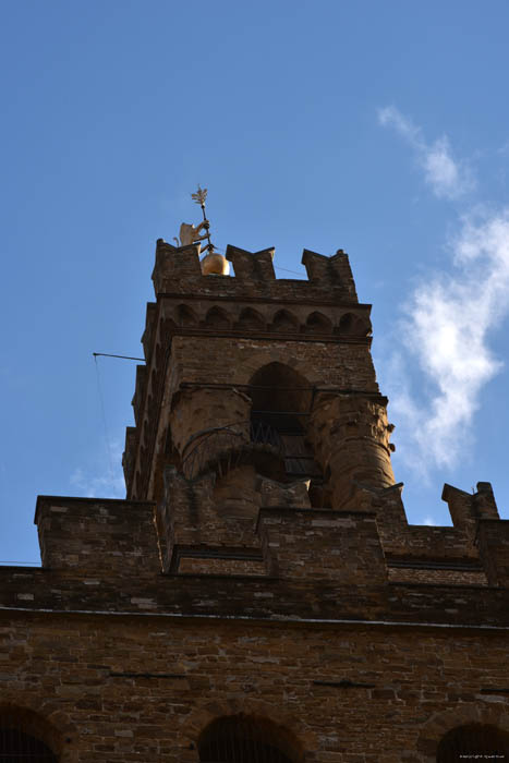 Vecchio Palace (Palazzo) Firenze / Italia 