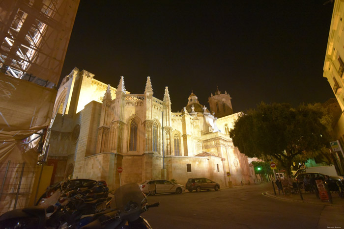 Cathedraal Tarragona / Spanje 